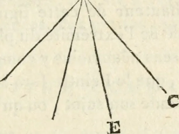 An illustration from Traité de la peinture, 1796, leaf 338