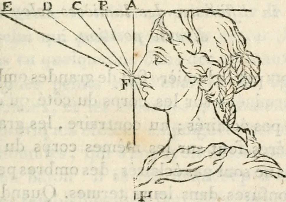 An illustration from Traité de la peinture, 1796, leaf 346