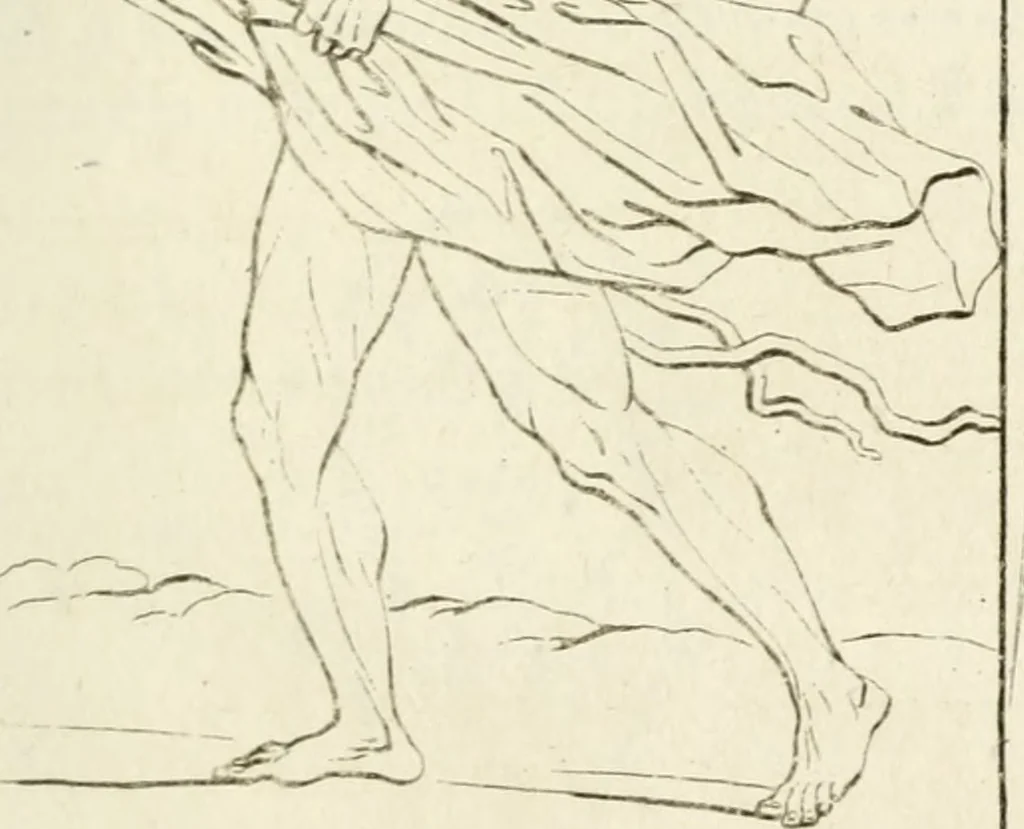 An illustration from Traité de la peinture, 1796, leaf 354