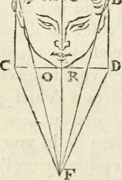 An illustration from Traité de la peinture, 1796, leaf 356