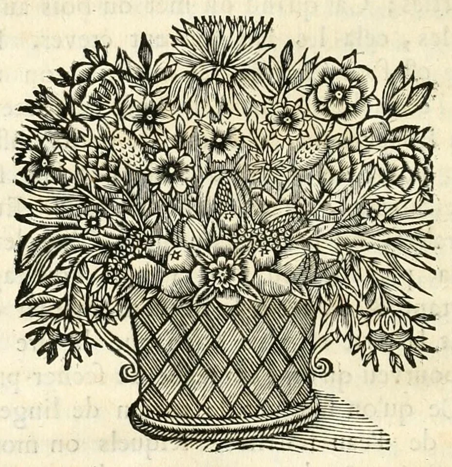 An illustration from Traité sur la peinture pour en apprendre la theorie, & se perfectionner dans la pratique, 1699, leaf 206