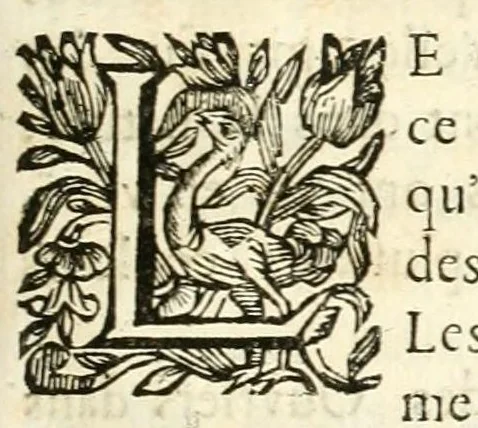 An illustration from Traité sur la peinture pour en apprendre la theorie, & se perfectionner dans la pratique, 1699, leaf 207
