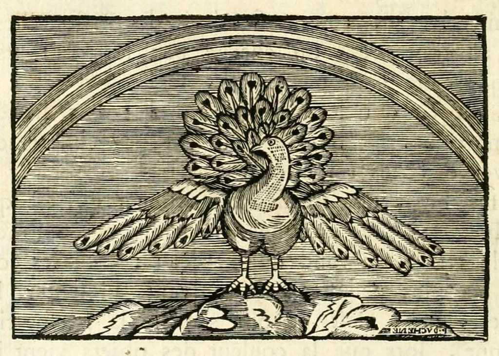 An illustration from Traité sur la peinture pour en apprendre la theorie, & se perfectionner dans la pratique, 1699, leaf 258