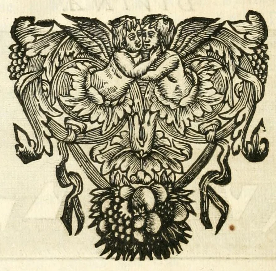 An illustration from Traité sur la peinture pour en apprendre la theorie, & se perfectionner dans la pratique, 1699, leaf 374