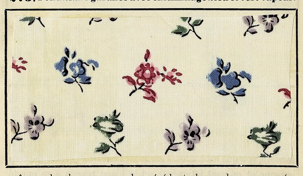 An illustration from Traité théorique et pratique de l'impression des tissus, 1846, leaf 234