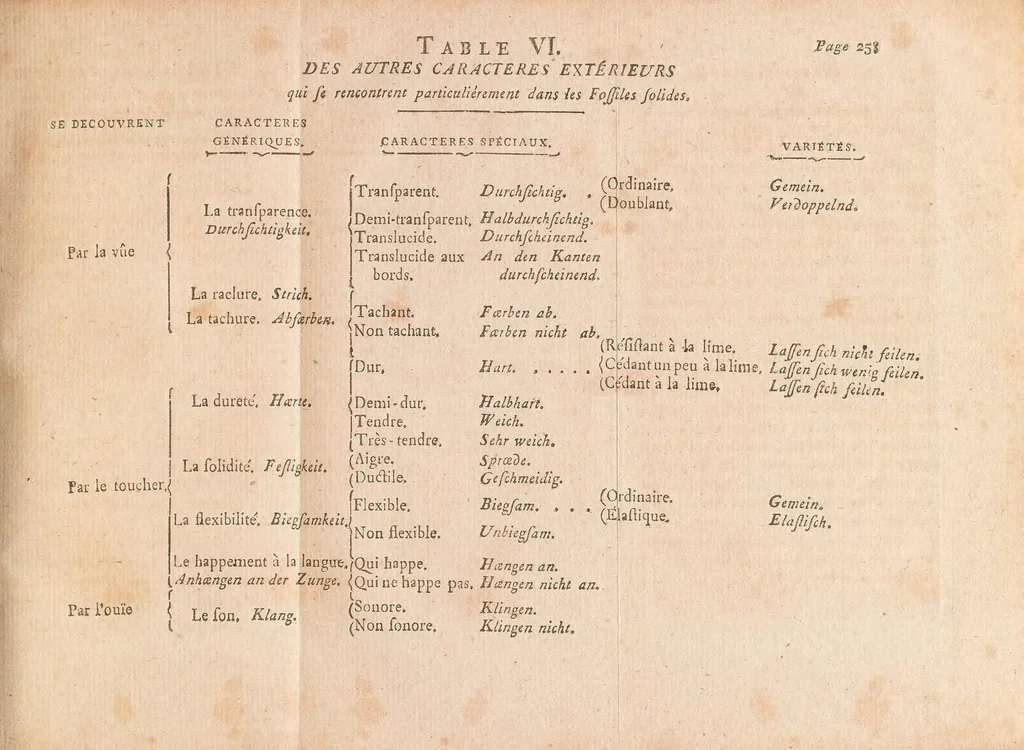 An illustration from Traité des caracteres extérieurs des fossiles, 1795, leaf 265
