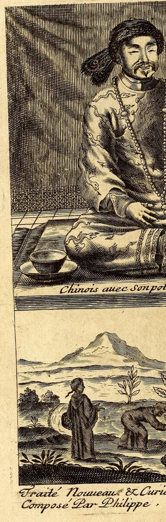 An illustration from Traitez nouveaux & curieux du café, du thé et du chocolate. : Ouvrage également necessaire aux medecins, & à tous ceux qui aiment leur santé., 1685, leaf 250