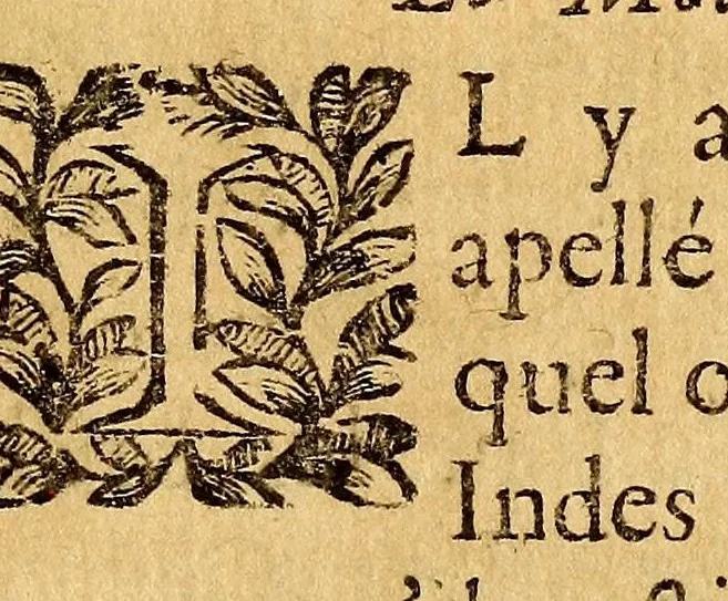 An illustration from Traitez nouveaux & curieux du café, du thé et du chocolate. : Ouvrage également necessaire aux medecins, & à tous ceux qui aiment leur santé., 1685, leaf 453