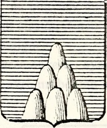 An illustration from Traité élémentaire du blason, 1872, leaf 236
