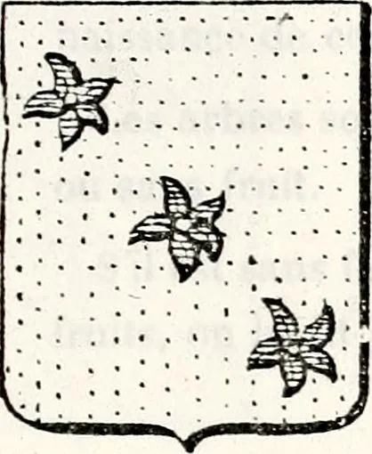 An illustration from Traité élémentaire du blason, 1872, leaf 240