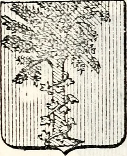 An illustration from Traité élémentaire du blason, 1872, leaf 244