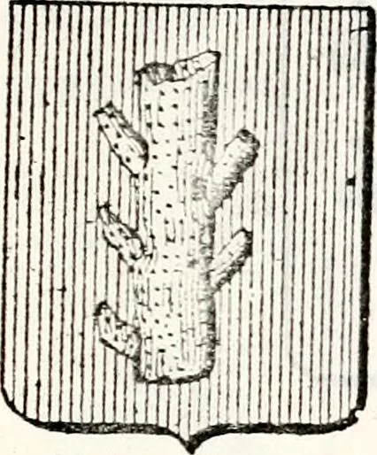 An illustration from Traité élémentaire du blason, 1872, leaf 246