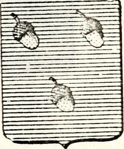 An illustration from Traité élémentaire du blason, 1872, leaf 250