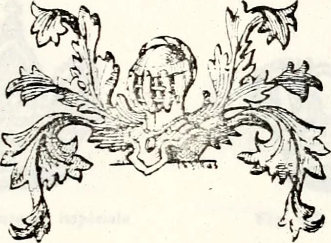 An illustration from Traité élémentaire du blason, 1872, leaf 330