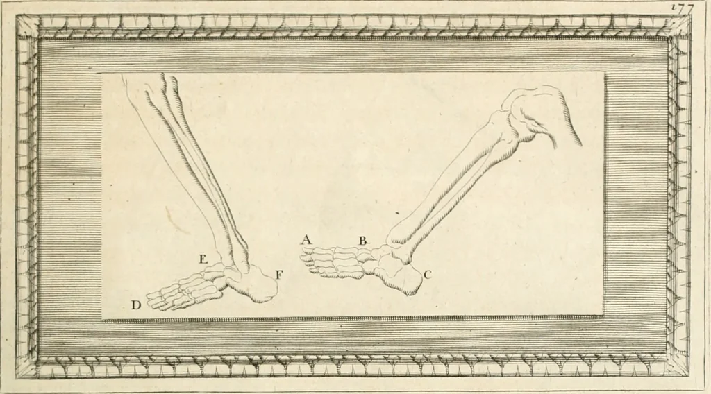 An illustration from Traitté de la peintvre, 1651, leaf 80