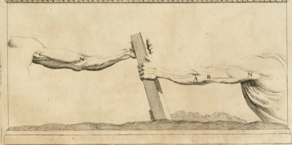 An illustration from Traitté de la peintvre, 1651, leaf 100