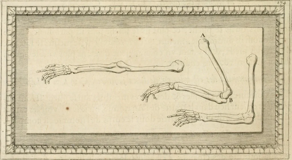 An illustration from Traitté de la peintvre, 1651, leaf 79