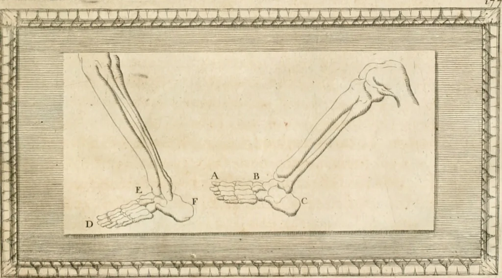 An illustration from Traitté de la peintvre, 1651, leaf 80