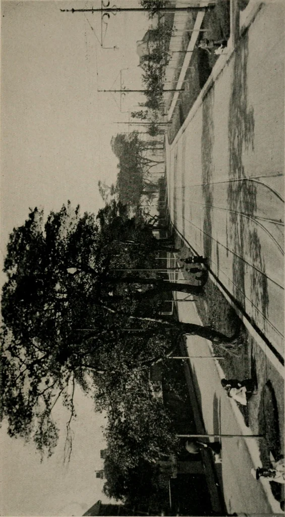 An illustration from Transactions of conference held March 9 to 13, 1914, at Liberty buildings, Liverpool, 1914, leaf 50
