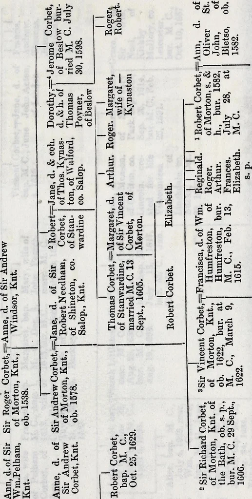 An illustration from Transactions of the Shropshire Archaeological and Natural History Society, 1881, leaf 206