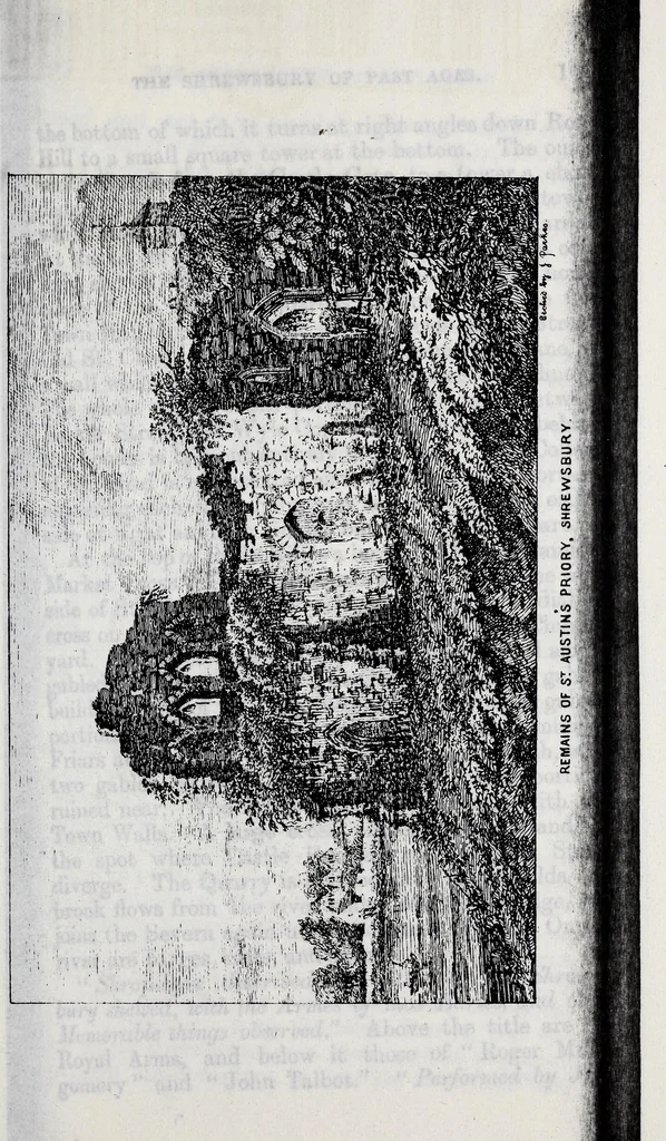 An illustration from Transactions of the Shropshire Archaeological and Natural History Society, 1881, leaf 256