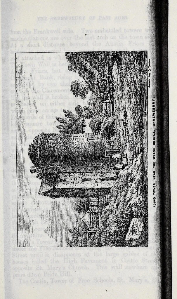 An illustration from Transactions of the Shropshire Archaeological and Natural History Society, 1881, leaf 274