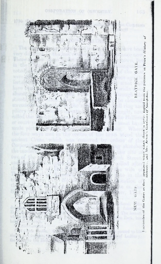 An illustration from Transactions of the Shropshire Archaeological and Natural History Society, 1882, leaf 372
