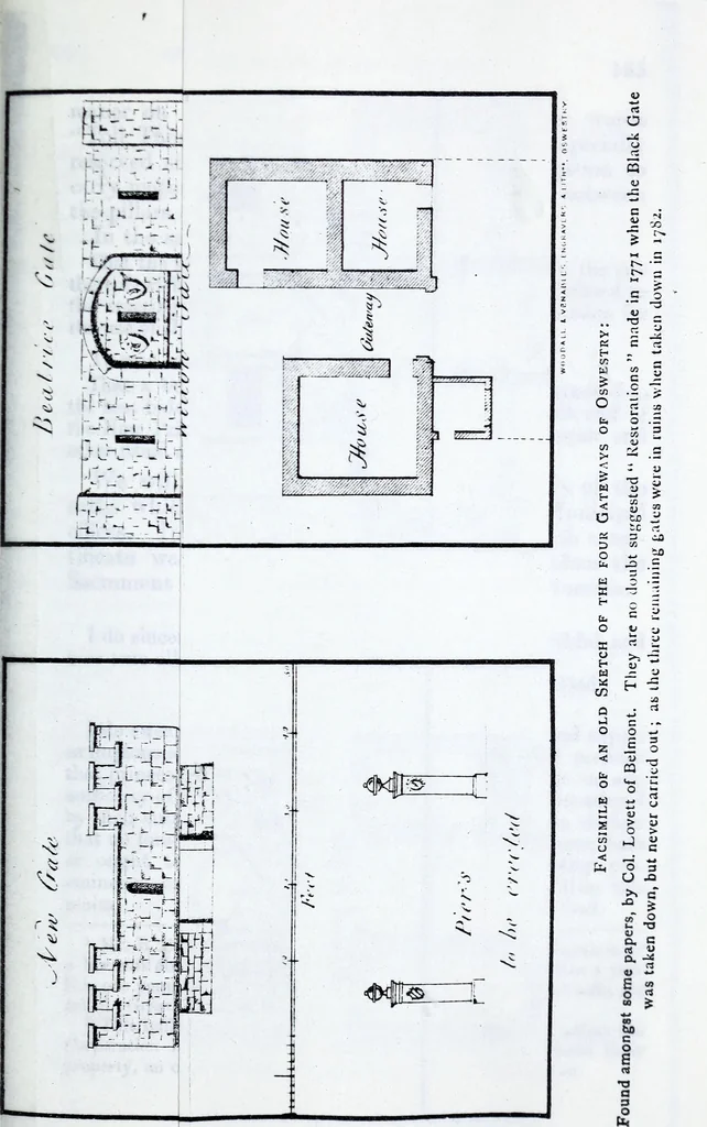 An illustration from Transactions of the Shropshire Archaeological and Natural History Society, 1882, leaf 382