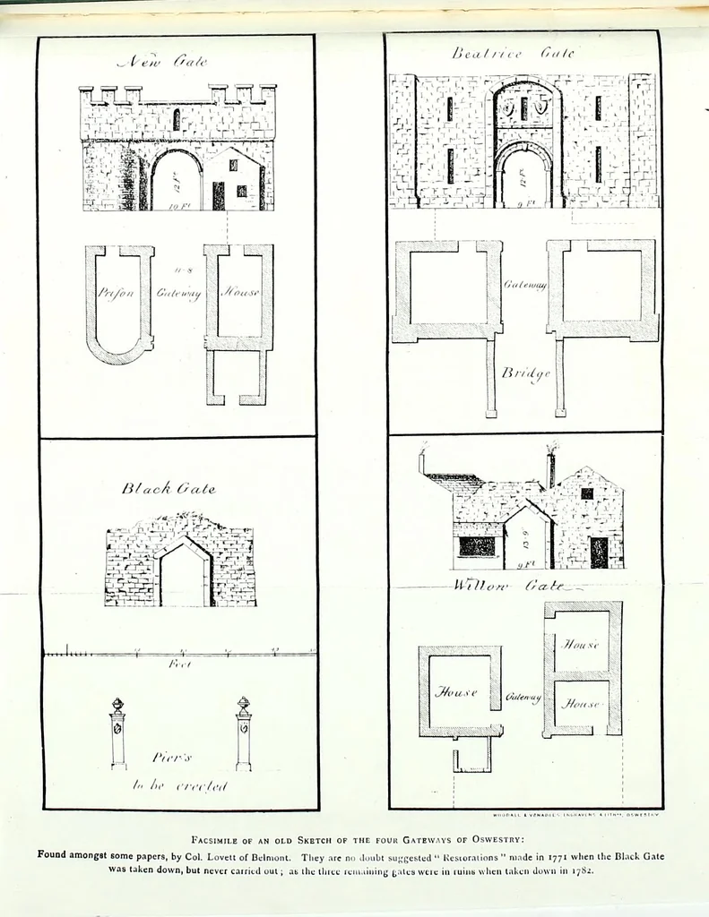 An illustration from Transactions of the Shropshire Archaeological and Natural History Society, 1882, leaf 384