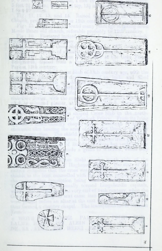 An illustration from Transactions of the Shropshire Archaeological and Natural History Society, 1882, leaf 562