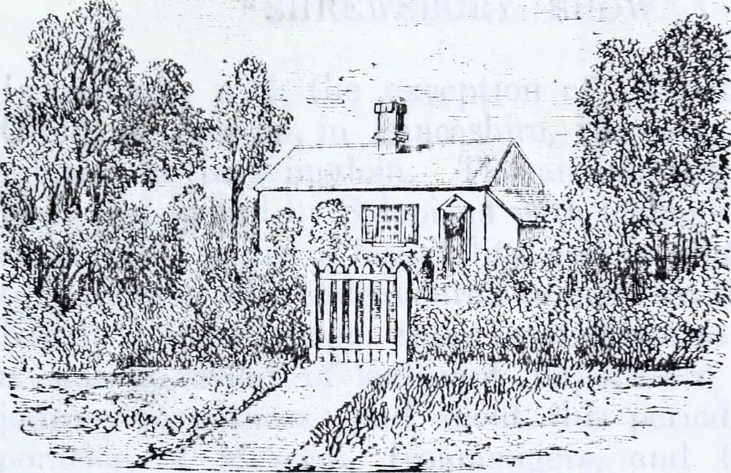 An illustration from Transactions of the Shropshire Archaeological and Natural History Society, 1883, leaf 436