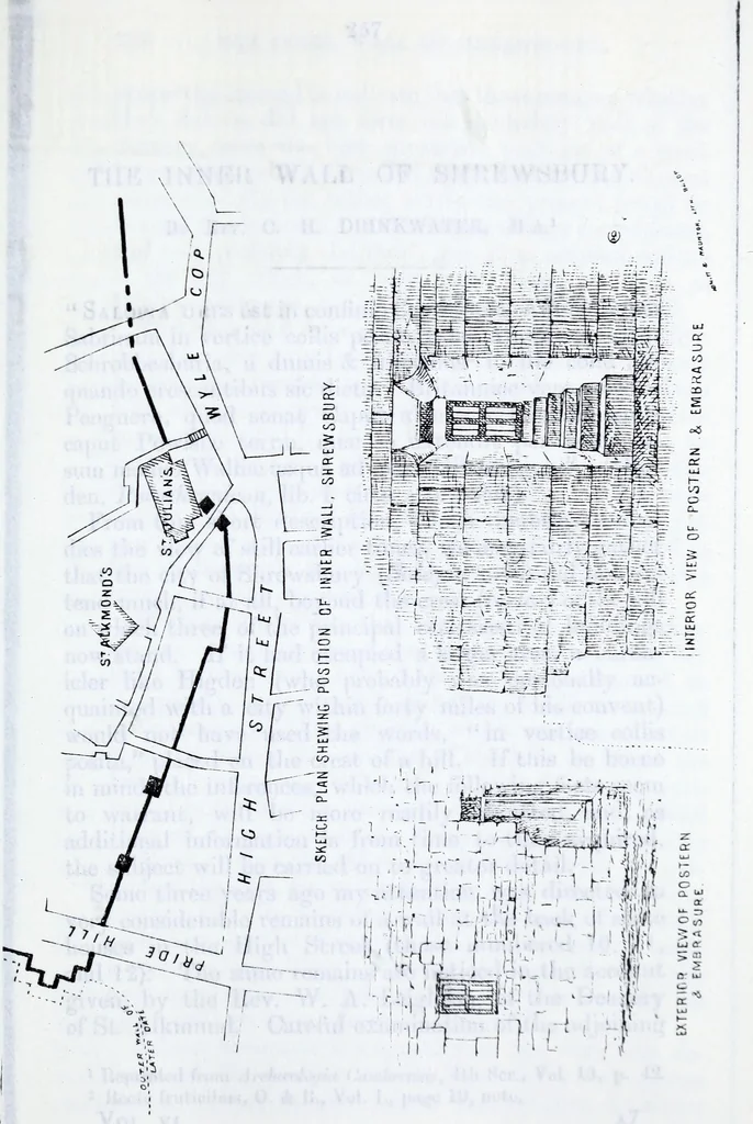 An illustration from Transactions of the Shropshire Archaeological and Natural History Society, 1883, leaf 556