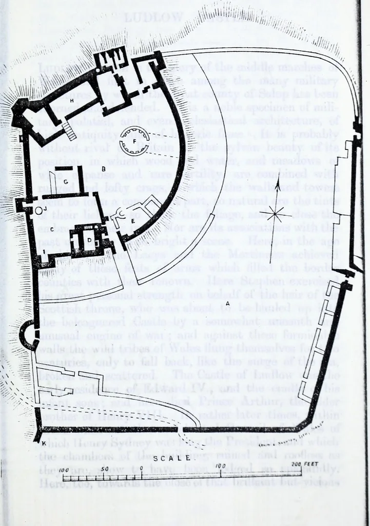 An illustration from Transactions of the Shropshire Archaeological and Natural History Society, 1883, leaf 588