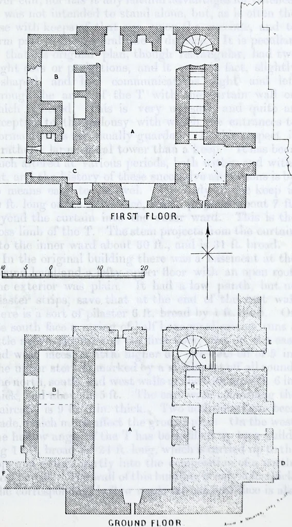An illustration from Transactions of the Shropshire Archaeological and Natural History Society, 1883, leaf 602