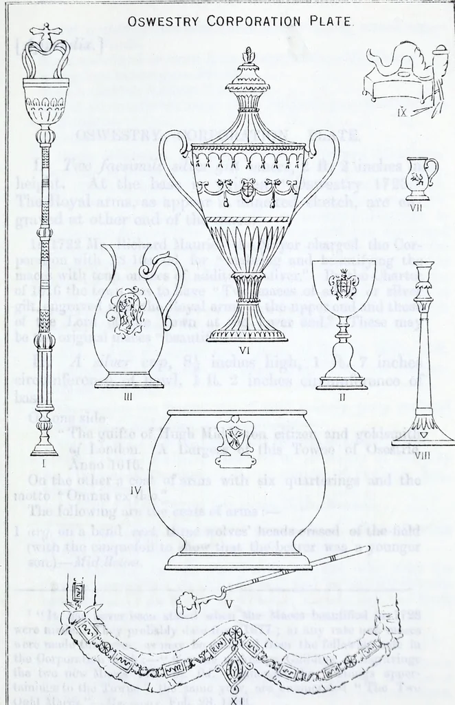 An illustration from Transactions of the Shropshire Archaeological and Natural History Society, 1883, leaf 680