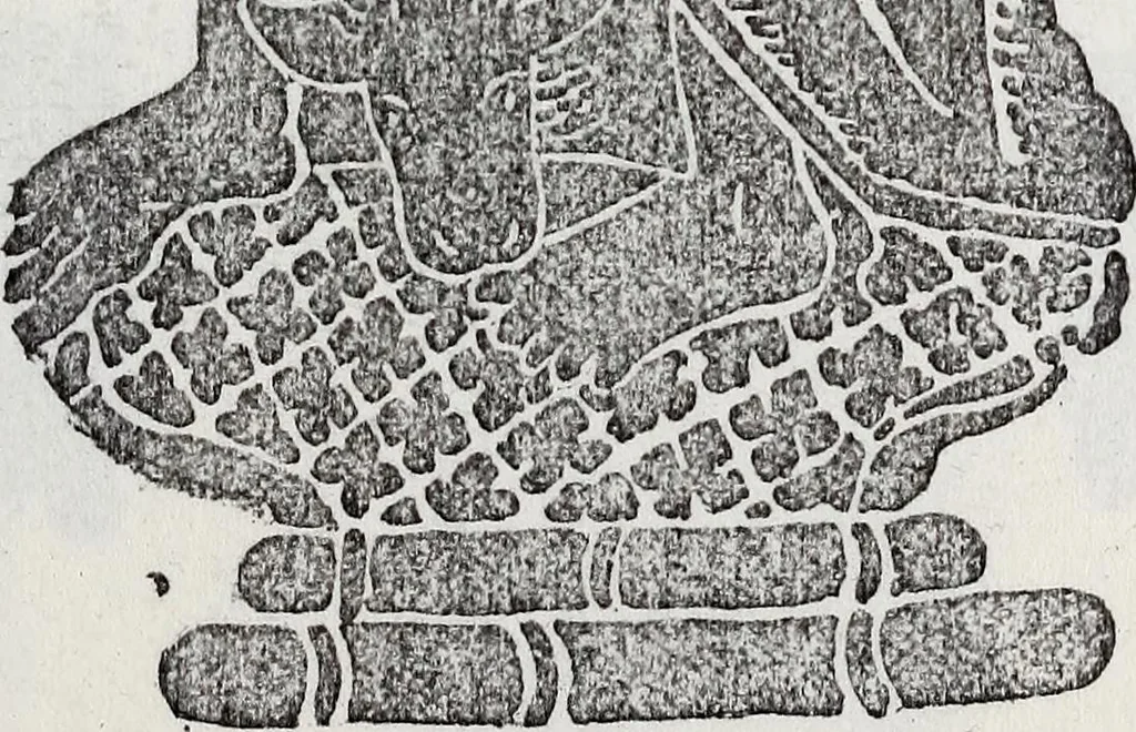 An illustration from Transactions of the Shropshire Archaeological and Natural History Society, 1895, leaf 868