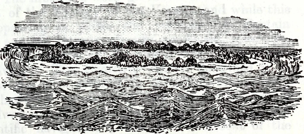 An illustration from Transactions of the Shropshire Archaeological and Natural History Society, 1885, leaf 106
