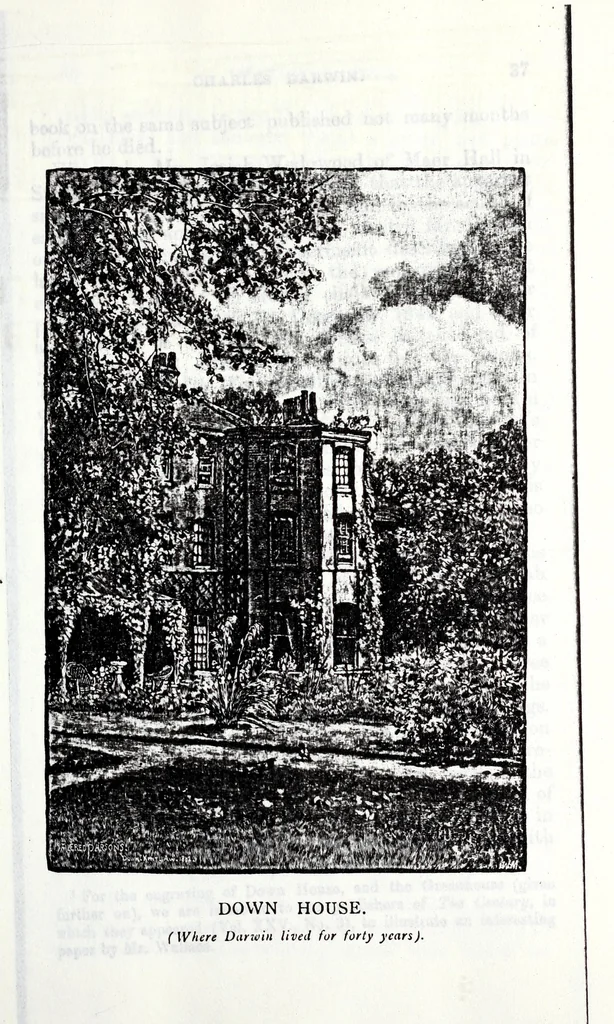 An illustration from Transactions of the Shropshire Archaeological and Natural History Society, 1885, leaf 116