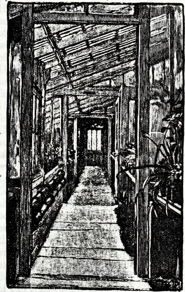 An illustration from Transactions of the Shropshire Archaeological and Natural History Society, 1885, leaf 124