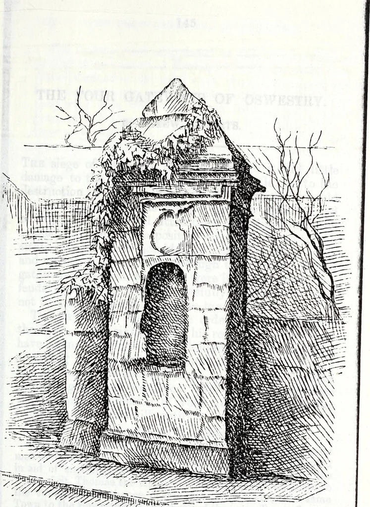 An illustration from Transactions of the Shropshire Archaeological and Natural History Society, 1885, leaf 334