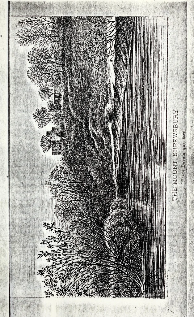 An illustration from Transactions of the Shropshire Archaeological and Natural History Society, 1885, leaf 66