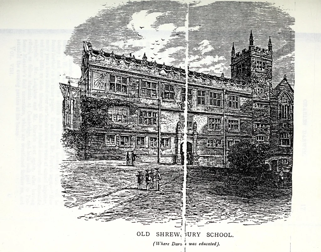 An illustration from Transactions of the Shropshire Archaeological and Natural History Society, 1885, leaf 74