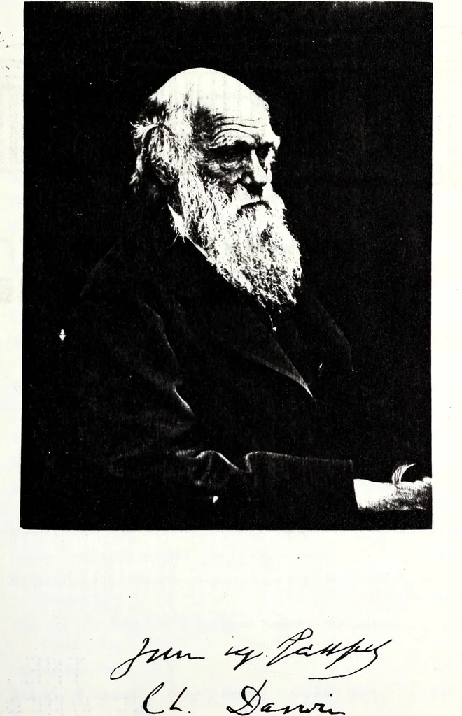 An illustration from Transactions of the Shropshire Archaeological and Natural History Society, 1885, leaf 8