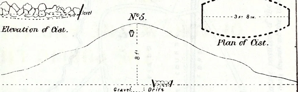 An illustration from Transactions of the Shropshire Archaeological and Natural History Society, 1885, leaf 948
