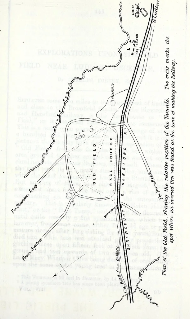 An illustration from Transactions of the Shropshire Archaeological and Natural History Society, 1885, leaf 950