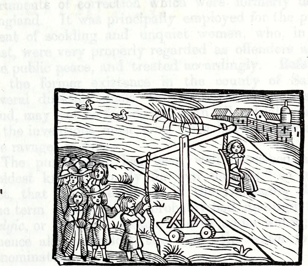 An illustration from Transactions of the Shropshire Archaeological and Natural History Society, 1886, leaf 204