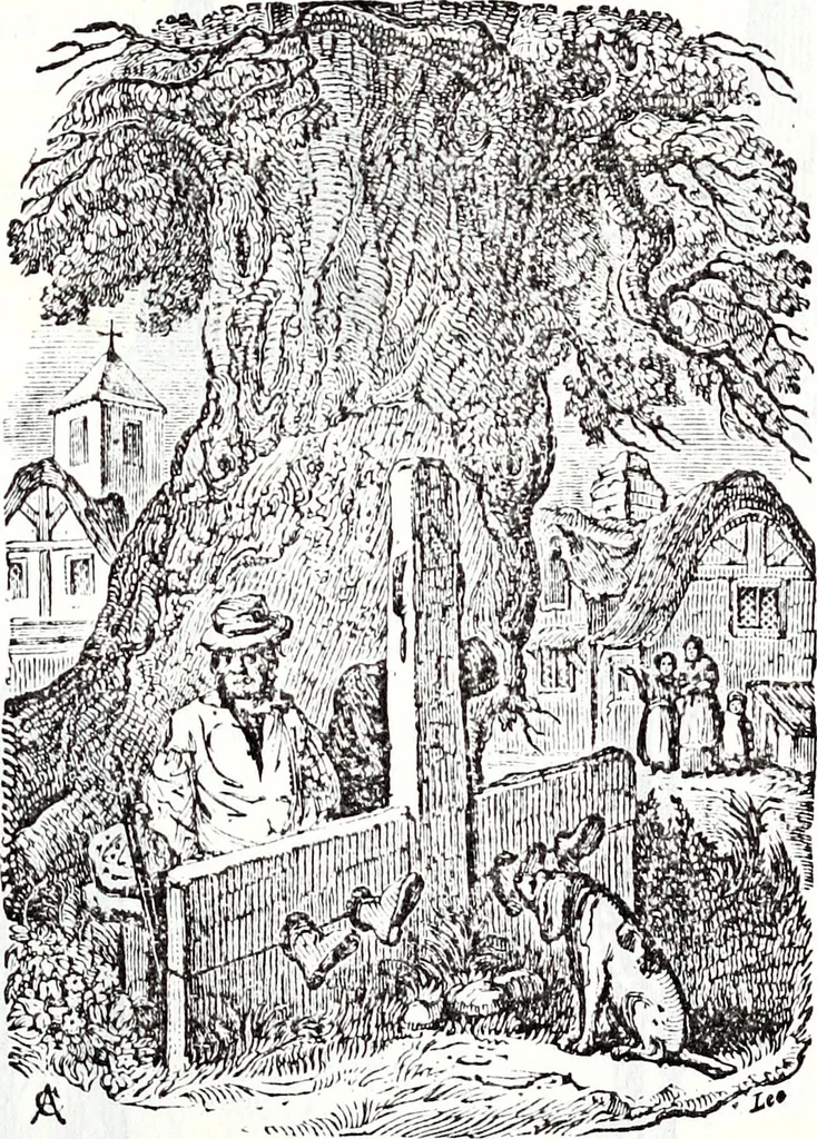 An illustration from Transactions of the Shropshire Archaeological and Natural History Society, 1887, leaf 792