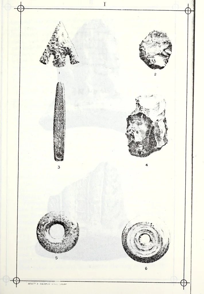 An illustration from Transactions of the Shropshire Archaeological and Natural History Society, 1888, leaf 484
