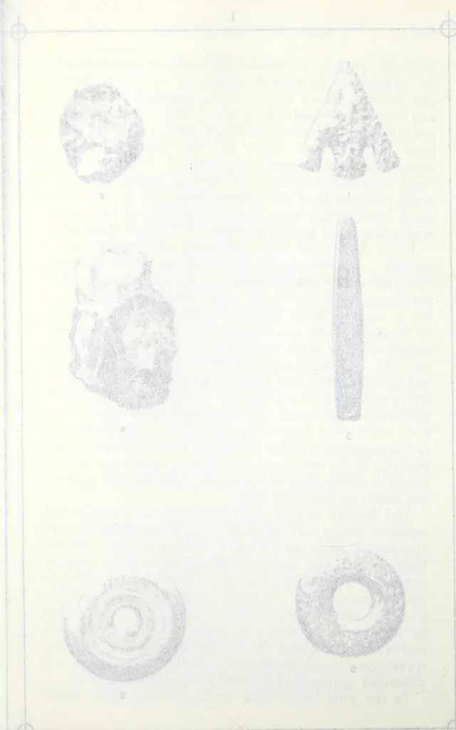 An illustration from Transactions of the Shropshire Archaeological and Natural History Society, 1888, leaf 485