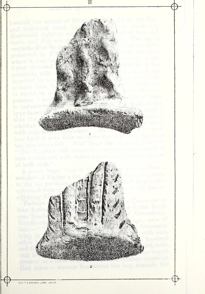 An illustration from Transactions of the Shropshire Archaeological and Natural History Society, 1888, leaf 486